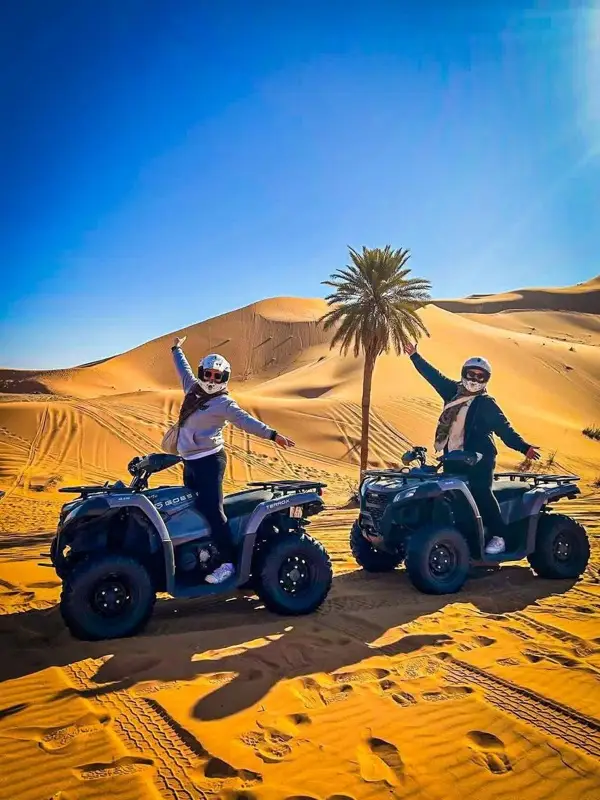 Riders on quads next to a palm tree in the dunes
